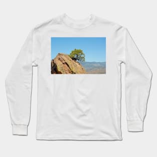 Shrub and Rock at Canon City Long Sleeve T-Shirt